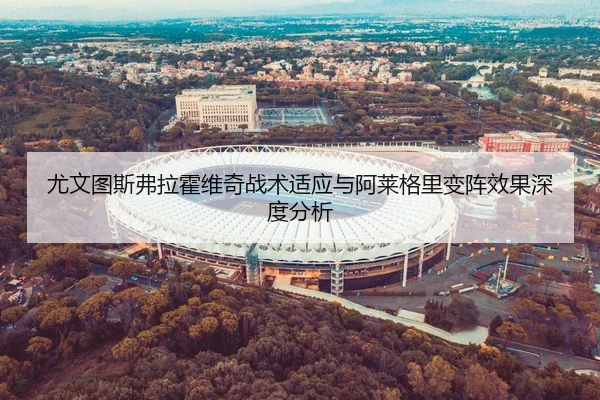 尤文图斯弗拉霍维奇战术适应与阿莱格里变阵效果深度分析