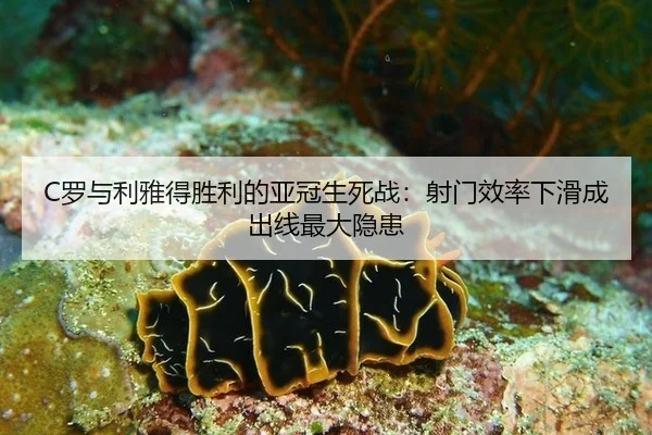 luo-yu-li-ya-de-sheng-li-de-ya-guan-sheng-si-zhan-she-men-xiao-lv-xia-hua-cheng-chu-xian-zui-da-yin-huan-2-585.jpg